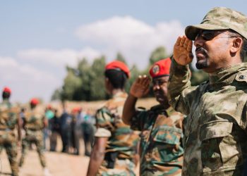 Rebels mock Ethiopia PM for spending half day on ‘frontline’