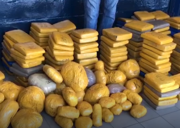 36-year-old gardener arrested for possession of narcotic drugs