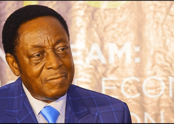 I’ll be NDC presidential candidate if I get the nod – Duffuor