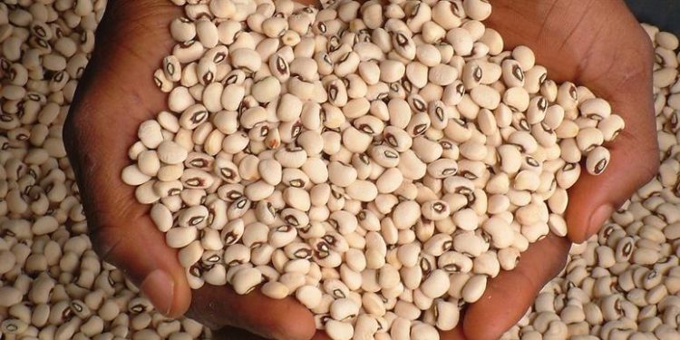 Price of beans shoots up by 100%