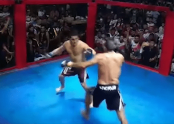 Brazilian politicians settle their differences in MMA-styled fight