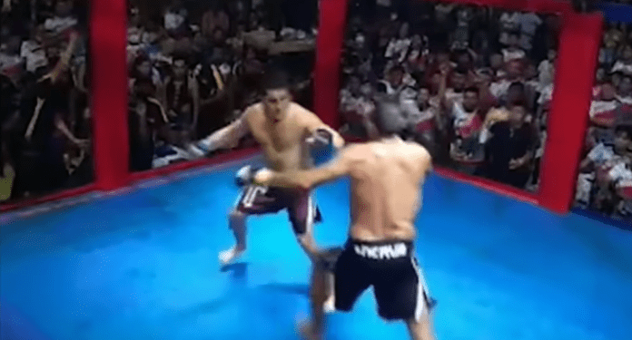 Brazilian politicians settle their differences in MMA-styled fight