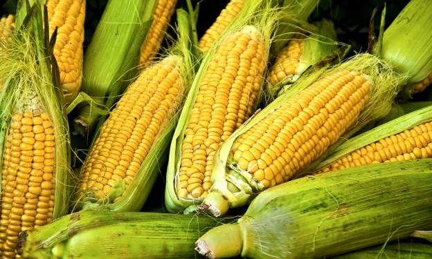 5 men arrested for stealing