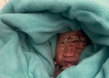 Newborn baby found in toilet bin of Air Mauritius plane