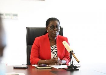 Blame NDC for long queues at NIA registration centres – Ursula Owusu-Ekuful