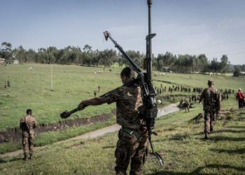 Ethiopia’s Amhara region seeks Russia support