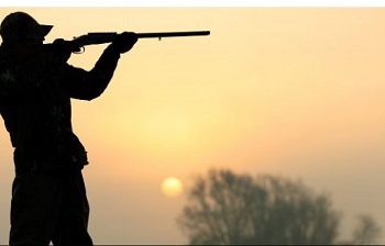 Hunter shot dead after being mistaken for deer