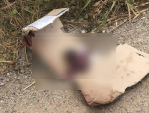 Remains of aborted twins found along Abora Dunkwa road