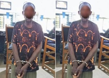 Police arrest prime suspect in recent serial killings in Wa