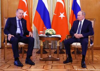 Russia’s Putin willing to end war – Turkey’s Erdogan
