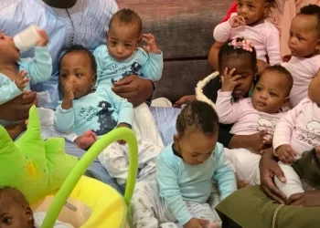 World-record nonuplets return home to Mali from Morocco
