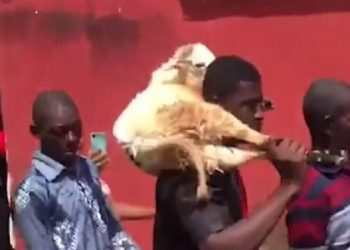 Chiefs perform rituals for man who allegedly defiled his wife’s younger sister