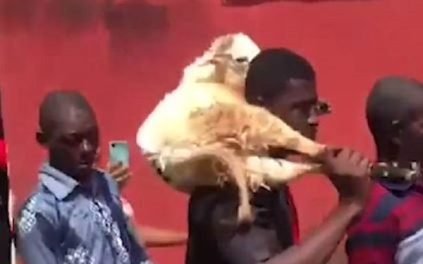 Chiefs perform rituals for man who allegedly defiled his wife’s younger sister