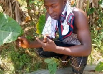 Man uses poisoned yoghurt and fan milk to ‘kill’ pregnant girlfriend and son