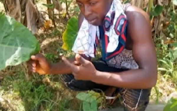 Man uses poisoned yoghurt and fan milk to ‘kill’ pregnant girlfriend and son