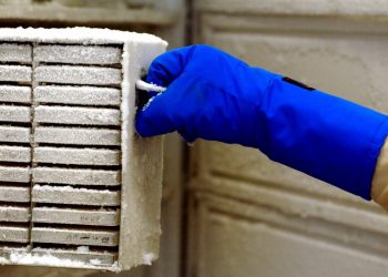 25 years of research lost after cleaner turned off fridge