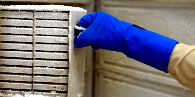 25 years of research lost after cleaner turned off fridge