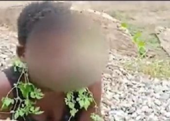 Bird allegedly turns into human in broad daylight at Gomoa Mampong