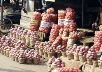 Niger military junta causes sharp increase in onion price, traders