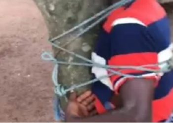 Manhunt for child abuser who tied a nine-year-old boy to orange tree