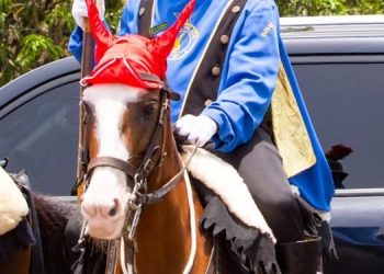 Police posthumously promotes ceremonial horse to Sergeant