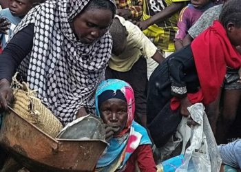 Sudan conflict: RSF takes control of Nyala in Darfur