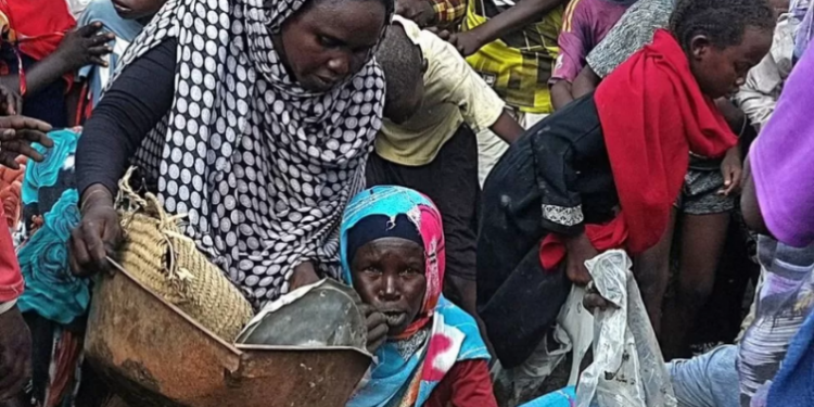 Sudan conflict: RSF takes control of Nyala in Darfur