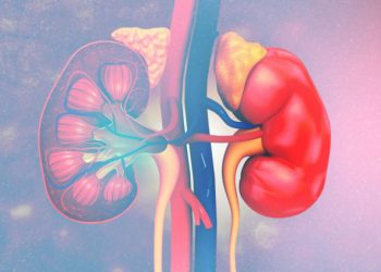 Aside from smoking and drinking, these factors could be damaging your kidneys