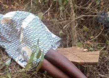 Young girl found alive with her hands and legs tied and abandoned in a bush