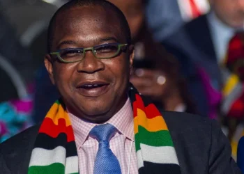 Mthuli Ncube: Zimbabwe shock as finance minister named Africa’s best
