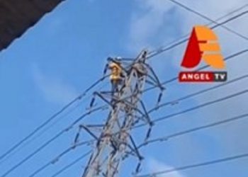 Man dies after climbing high tension pole to look for crow eggs