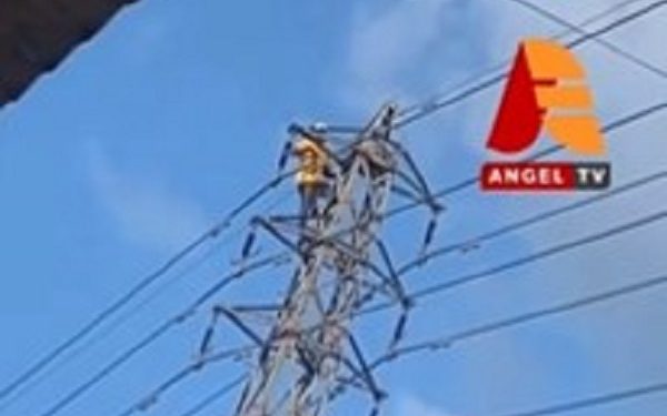 Man dies after climbing high tension pole to look for crow eggs