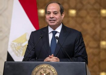 Egypt election: President Sisi wins third term with 89.9% of vote