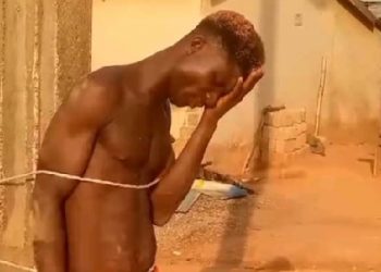 Thief arrested for stealing mobile phones