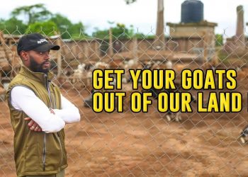 Farmer who invested over GH¢1m in goat rearing facing eviction over ‘taboo’