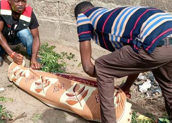 Momo vendor poisons himself over GH¢16,000 debt