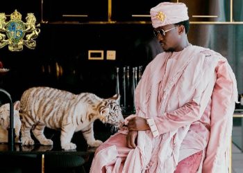 I feed my tigers one cow every three days – Cheddar