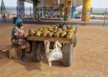Hawker returns to old spot under newly commissioned Flowerpot interchange