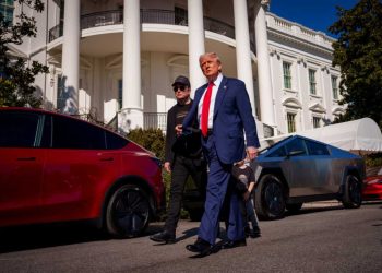Trump says he will buy a Tesla after stock slump