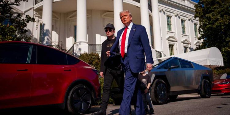 Trump says he will buy a Tesla after stock slump