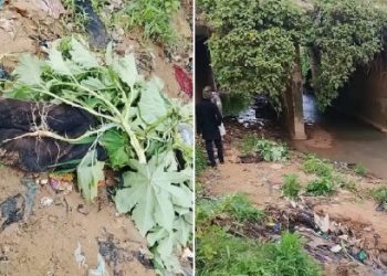 Man found dead under bridge after reportedly selling his car