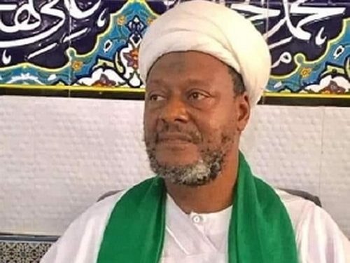 Mahama called for a cap on Supreme Court justices, but he has appointed 7 in 6 months- National Shia Imam