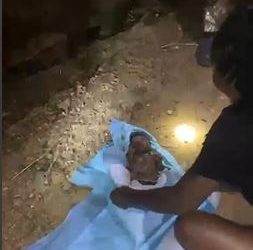 Fire Officers rescue abandoned newborn from latrine in Obuasi