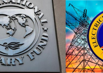 IMF endorses ECG privatisation