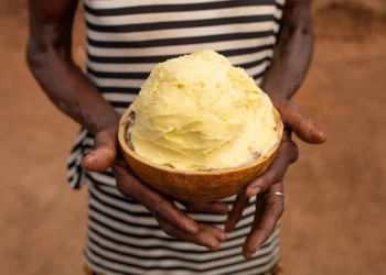 Government targets shea industry growth as Tamale prepares for World Shea Expo 2025