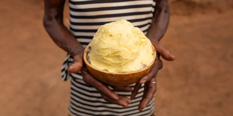 Government targets shea industry growth as Tamale prepares for World Shea Expo 2025