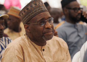 Mali court sentences former prime minister to two years in jail